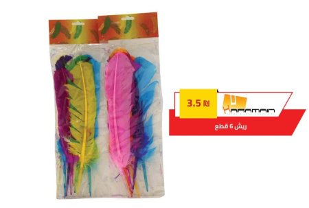 ريش 6 قطعة 139